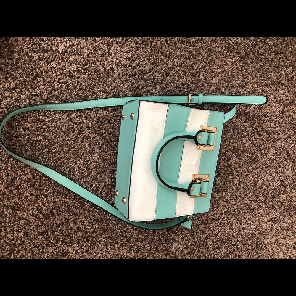 Blue and white purse